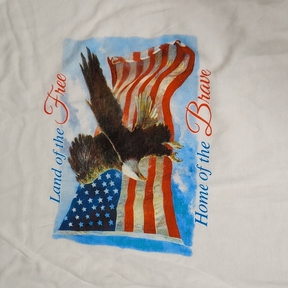 Land of the Free, Home of the Brave Large Tee - Picture 2 of 6
